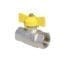 ROBINET GAZ VALGasio D.1/2'' FI-FI FLUTURE