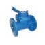 CONTOR VALAgrio ''TWP'' DN 80 Qn 40m3/h Q3 80m3/h PN16 CLA