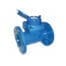 CONTOR VALAgrio APA DN100 Qn 60m3/h PN16 CLA
